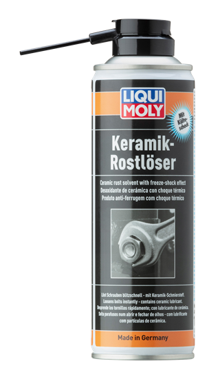 LIQUI MOLY Seramikli Pas Sökücü 300 ml (1641)